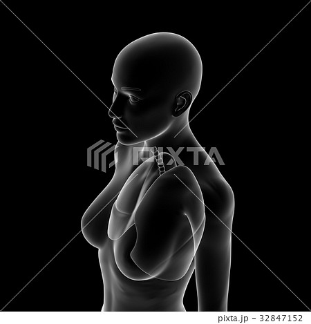 肺, 女性 肺, 女性 32847152