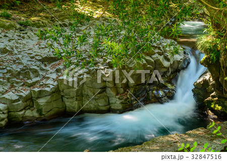 河津七滝　カニ滝 32847516