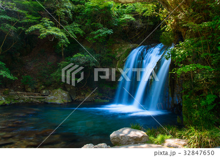 河津七滝　初景滝 32847650