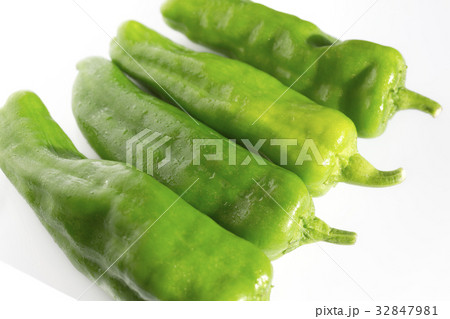 ねごろ大唐 特大ししとう ねごろ大唐 特大ししとう 32847981
