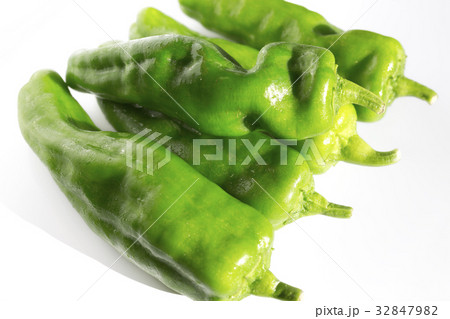 ねごろ大唐 特大ししとう ねごろ大唐 特大ししとう 32847982