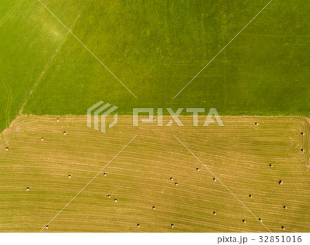 Field with haystacks 32851016