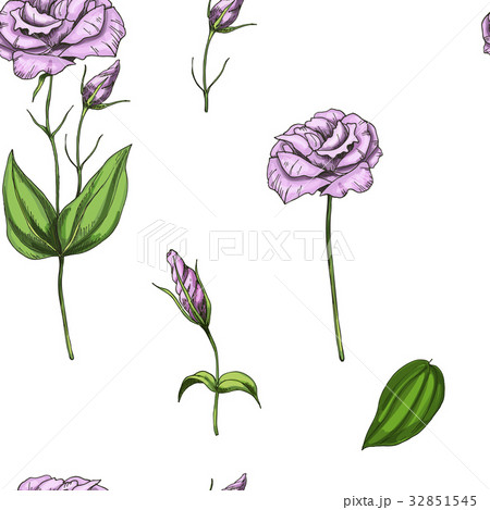 Seamless pattern with gently pink rose flower 32851545