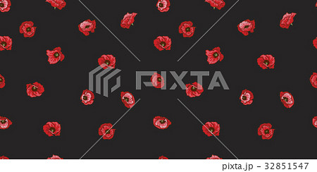 Seamless pattern with red poppy flowers  32851547
