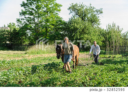 Farmers are plowing a land. Farmers are plowing a land. 32852593