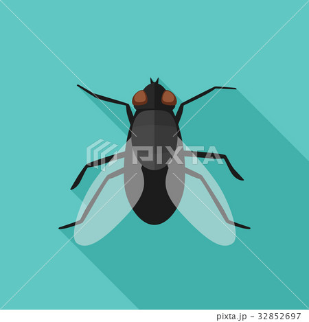 Fly flat icon with long shadow 32852697