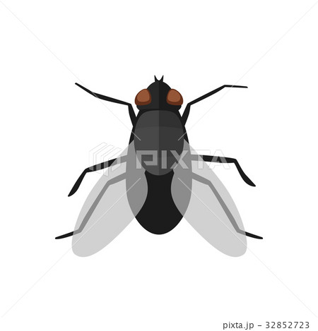 Fly icon in flat style 32852723