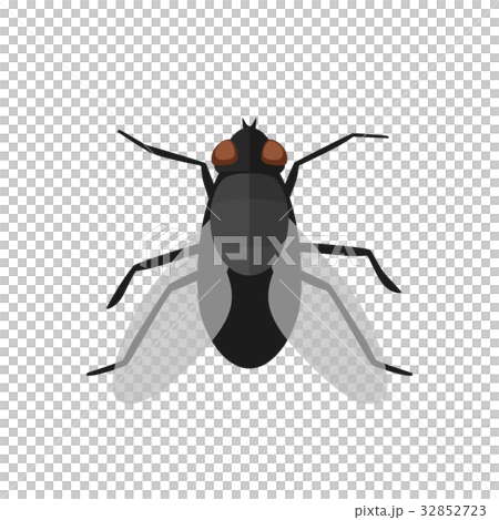 Fly icon in flat style 32852723