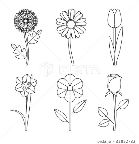 Flowers line drawings 32852732