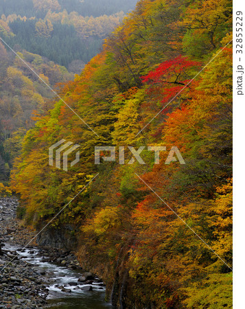 秋山郷秋色 秋山郷秋色 32855229