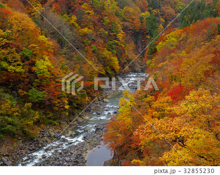 秋山郷秋色の写真素材 [32855230] - PIXTA