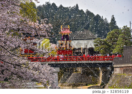 春の高山祭 満開の桜と中橋を渡る屋台 風で舞う桜の花びら 春の高山祭 満開の桜と中橋を渡る屋台 風で舞う桜の花びら 32856119