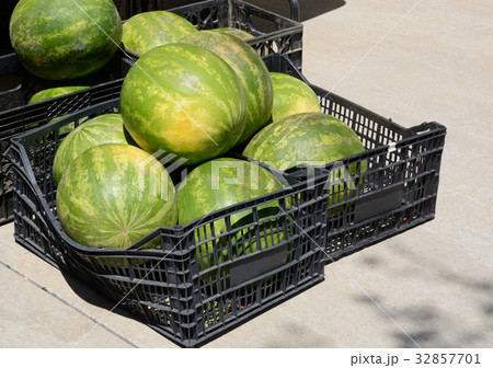 Crates of whole seedless watermelon 32857701