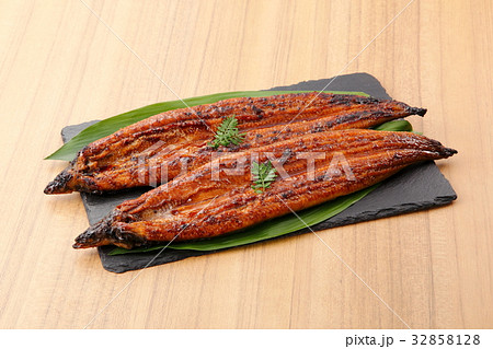 うなぎの蒲焼 32858128