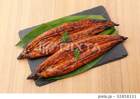 うなぎの蒲焼 32858131