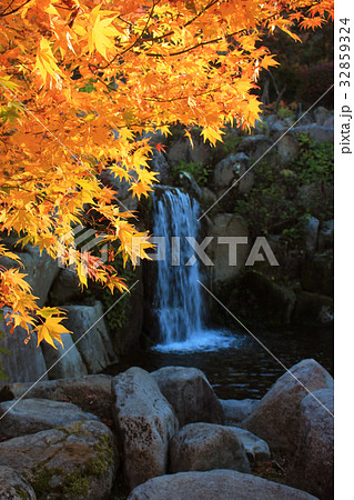 日本の紅葉と滝　Autumn Leaves waterfall in Japanese garden 32859324