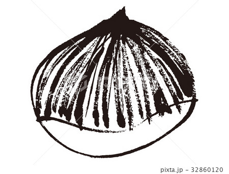 栗 水彩画 栗 水彩画 32860120