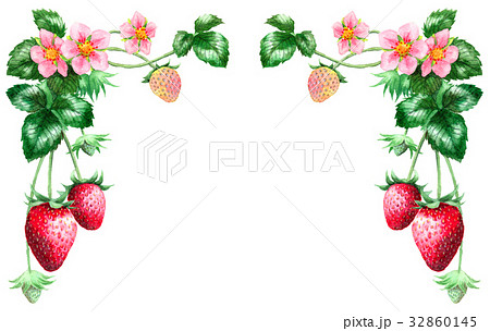 いちごとピンクの花の上部フレーム素材のイラスト素材
