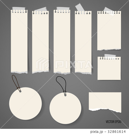 Blank catalog, magazines,book mock up and white note papers. Vector illustration 32861614