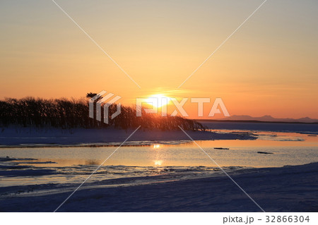 ナラワラ疎林に沈みゆく厳冬の夕陽(A) ナラワラ疎林に沈みゆく厳冬の夕陽(A) 32866304