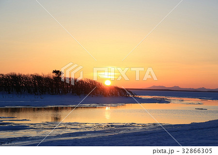 ナラワラ疎林に沈みゆく厳冬の夕陽(B) ナラワラ疎林に沈みゆく厳冬の夕陽(B) 32866305