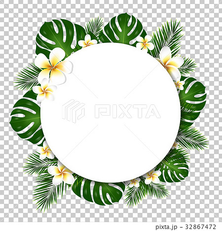 Banner With Palm And Monstera Tree Leaf 32867472