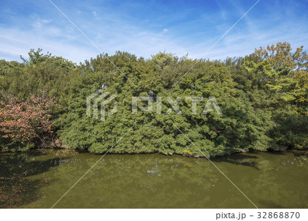 仁徳天皇陵古墳　百舌鳥古墳群 32868870