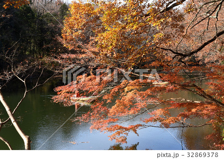 震生湖　紅葉 32869378