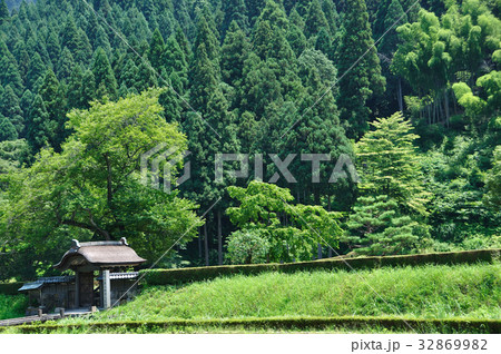 一乗谷朝倉氏遺跡 32869982