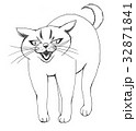 喧嘩で威嚇する猫 32871841