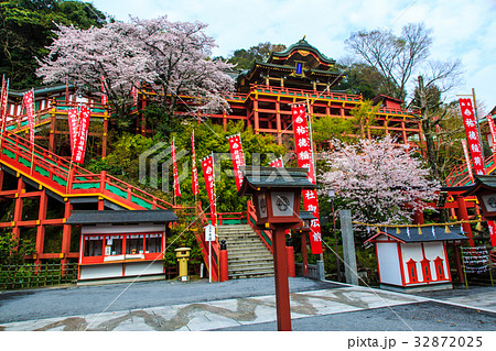祐徳稲荷神社のさくら　佐賀 32872025