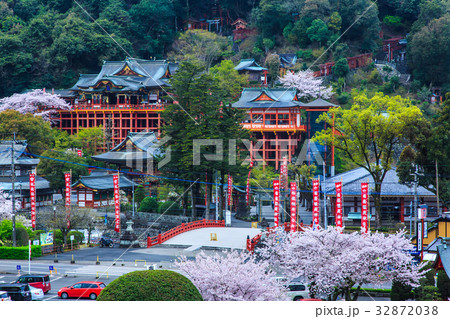 祐徳稲荷神社のさくら　佐賀 32872038