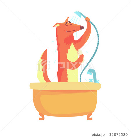 Cute cartoon fox taking a shower, red fox washing Cute cartoon fox taking a shower, red fox washing 32872520