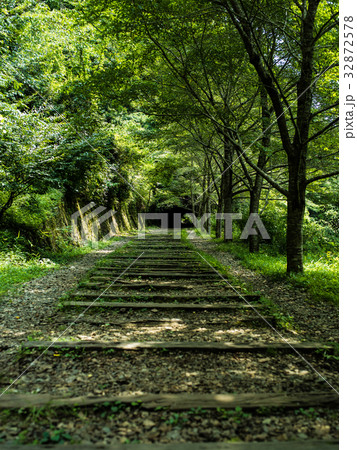 武田尾の廃線跡 32872578