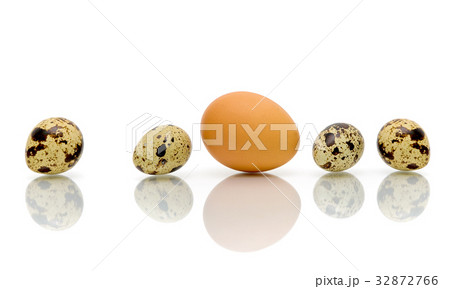 Eggs of different types on a white background Eggs of different types on a white background 32872766