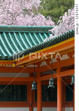 春の平安神宮 春の平安神宮 32874257