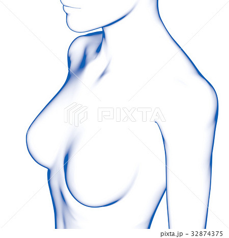 女性の体型 胸のイラスト素材