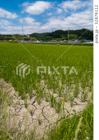 米つくり 32876112