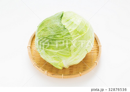 キャベツ 32876536