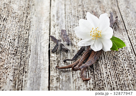Jasmine with vanilla on a wooden board Jasmine with vanilla on a wooden board 32877947