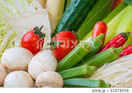 野菜 ベジタブル 青菜 32878958