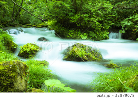 奥入瀬渓流　石ヶ戸の瀬 32879078