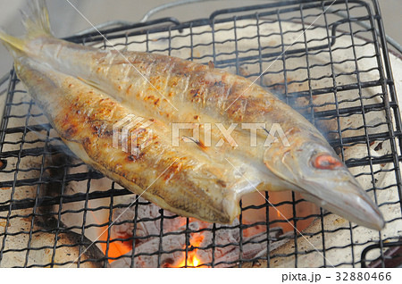 七輪でカマスの干物を焼く 32880466