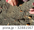 どんぐり拾い 32881567