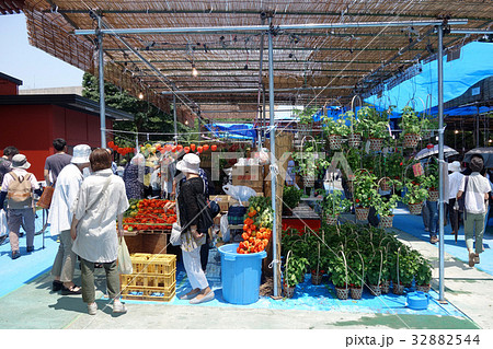 浅草ほおずき市 32882544