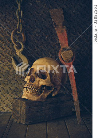 Still Life with a Skull. Still Life with a Skull. 32882561