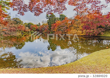 仙洞御所の紅葉 32884020