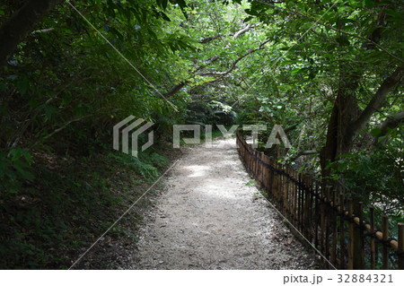 斎場御嶽へ向かう道 斎場御嶽へ向かう道 32884321