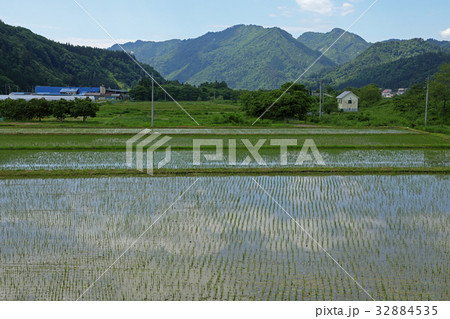 田植えが終わった田んぼ 只見町・山里橋 田植えが終わった田んぼ 只見町・山里橋 32884535