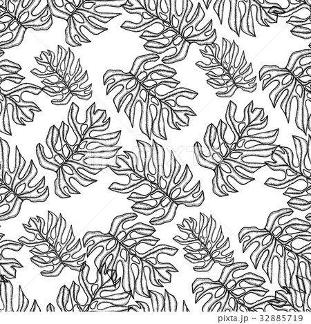 Hand Drawn Vector Seamless Pattern.  32885719